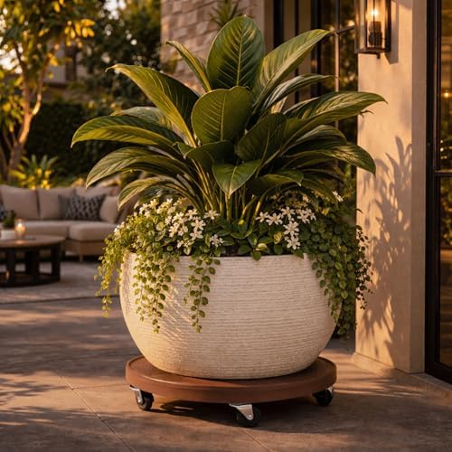 DeVaultEnterprises Devault 23.5 Inch Plant Dolly Multi-Pack, Heavy Duty Rolling Plant Caddy with Wheels for Large Pots and Planters, 500 lb Capacity, Made in USA (4, Gray Mist) - Image 4