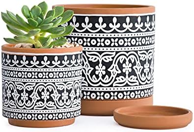 D'vine Dev 2-Pack Terracotta Pots, 4/6 in, Terra/Black, 31-958-F-2 by DvineDevPlanterPotsandStand