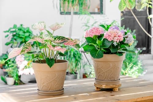 Melphoe Plant Pots Indoor with Drainage & Saucer, 2Pack 10 inch Flower Pots Outdoor Planters for Indoor Plants Garden Home Decor Cactus Succulent, Rigid Plastic (Imitation-Terracotta) Vine-Embossed - Image 3