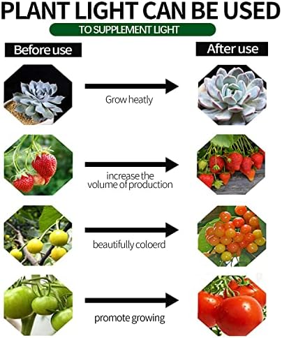 Outdoor LED Grow Lights for Greenhouse 6-Light Waterproof String Grow Light, Full Spectrum LED Plant Grow Light Lamp, Waterproof Greenhouse Grow Lights for Seedling, Veg, Flower - Image 6