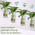 Baderke 6 Pcs Glass Wall Vase for Plants Indoor Hanging Propagation Planter Container Holder with Plastic Invisible Traceless Hangers Hydroponic Plant Succulent Garden Wedding Decor - Image 4