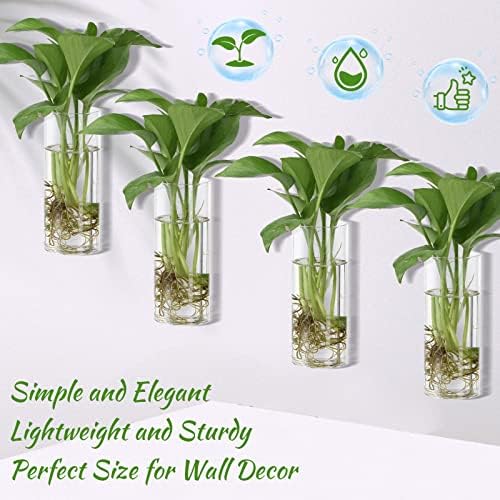 Baderke 6 Pcs Glass Wall Vase for Plants Indoor Hanging Propagation Planter Container Holder with Plastic Invisible Traceless Hangers Hydroponic Plant Succulent Garden Wedding Decor - Image 4