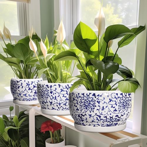 SQOWL Ceramic Pots for Plants - 10 Inch Ceramic Flower Pots with Drainage Hole and Saucer, Round Large Planter Indoor, Decorative Porcelain Planter Outdoor, Home Decor, Birthday Gifts, Blue and White - Image 6