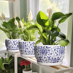 SQOWL Ceramic Pots for Plants - 10 Inch Ceramic Flower Pots with Drainage Hole and Saucer, Round Large Planter Indoor, Decorative Porcelain Planter Outdoor, Home Decor, Birthday Gifts, Blue and White - Image 6