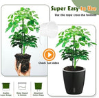 Self-Watering Pots for Indoor Plants, 6-Pack 6.7'' Self Watering Planter with Drainage Holes, Small African Violet Pots with Water Indicator, Clear Wick Pot, Black - Image 6