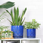 8 Inch + 6 Inch Indoor Plant Pot with Drainage Holes and Saucers, Ceramic Planter for Plants Succulent Orchid Flower Pots - Image 2