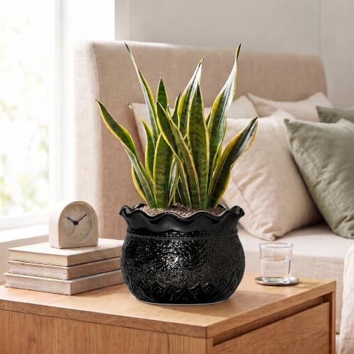 Ceramic Planter Pots, 8 Inch Plant Pot for Indoor Plants, Black - Image 6