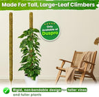 DUSPRO 59" Natural Large Moss Pole for Big & Mature Plants, (1pc., 59'') - Image 6