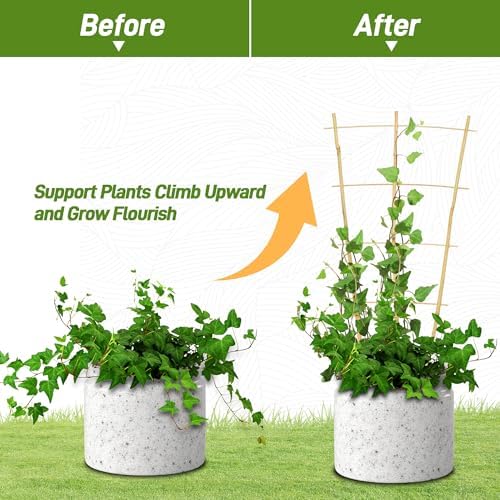 Avalution 10 Pack Bamboo Trellis for Climbing Plants, 2 FT Garden Ladder Trellis for Potted Plants Indoor, Fan-Shaped Small Plant Support Trellis for Houseplants Ivy Hoya Vine Monstera - Image 4