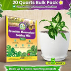 DUSPRO Pre-Mixed 7in1 House Plant Potting Mix,Drainage & Root Airflow, 20QT - Image 5