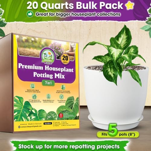 DUSPRO Pre-Mixed 7in1 House Plant Potting Mix,Drainage & Root Airflow, 20QT - Image 5