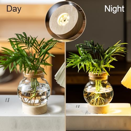 Propagation Stations, Plant Propagation Station with Light Base, Glass Propagation Vases, Hydroponic Vase for Plants, Glass Terrarium for Home Office Windowsill Tabletop Decoration (7) - Image 5