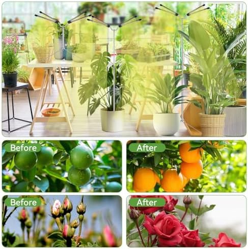 Grow Lights for Indoor Plants Full Spectrum,15-62 Inches Height Adjustable Dsektop and Standing Plant Growing Lights with Detachable Tripod Stand for Large and Small Plants, Auto On/Off Timer - Image 7