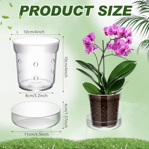 Baderke 1 Piece Orchid Pot with Drainage Holes and Tray Transparent Glass Pot Planter for Orchids Flower Repotting Anti Slip Glass Plant Vase for Indoor Outdoor Home Decor(4 Inch) (Pack of 2) - Image 2