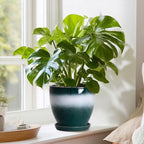 Ceraimc 6 Inch Planters, Ceraimc Pots for Plants, Green-White - Image 7