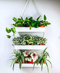 LaLaGreen Boho Wall Planter (16 in, 3 Tier) White Succulent Herb Garden by L%C3%A1L%C3%A1Green