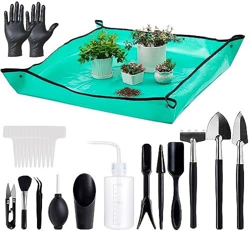 Indoor Plant Pots and Succulent Tools - Image 6