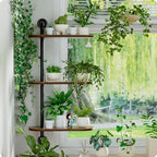 Rotating Window Plant Shelves 3-Tier, Wooden Window Shelf for Plants, Sill Space-Saving Corner Hanging Wall Stand for Multiple Plants, Indoor Home Decor, Carbonized - Image 5