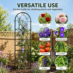 2-Pack 87" x 20" Arch Sunflower Black Metal Garden Trellises - Image 6