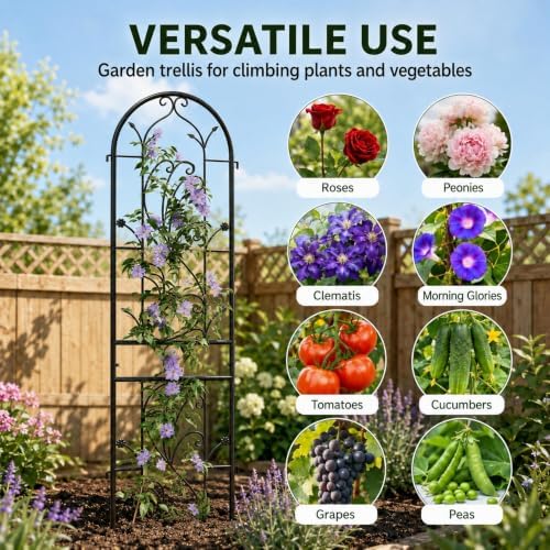 2-Pack 87" x 20" Arch Sunflower Black Metal Garden Trellises - Image 6