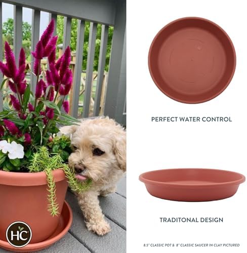 The HC Companies 14 Inch Round Plastic Classic Plant Saucer - Indoor Outdoor Plant Trays for Pots - 14"x14"x2.5" Clay - Image 2
