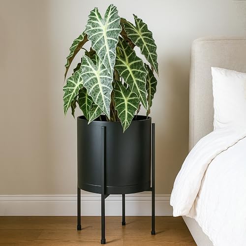 D'vine Dev Plastic Planter Pot with Metal Stand, Black, 12 in, 55-D-B-3 - Image 2