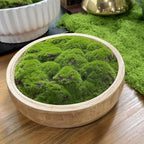Moss Wood Bowl, Natural Round Dough Bowl for Tabletop Centerpiece Decor - Image 3