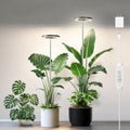 6.3in Grow Light for Indoor Plants, 15W Full Spectrum Halo Plant Lights by LPMZMBL