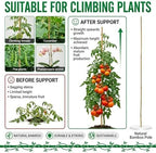 Plant Stakes Natural Bamboo Sticks - 20 Pcs Bamboo Garden Stakes for Plants 4.8 FT Plant Support Sticks with Twist Ties for Tomatoes Beans Flowers Indoor Outdoor Potted Climbing Plants - Image 3