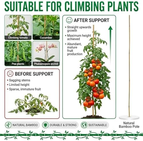 Plant Stakes Natural Bamboo Sticks - 20 Pcs Bamboo Garden Stakes for Plants 4.8 FT Plant Support Sticks with Twist Ties for Tomatoes Beans Flowers Indoor Outdoor Potted Climbing Plants - Image 3