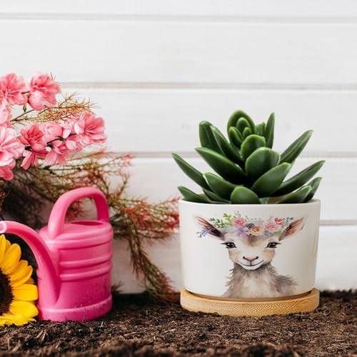 Baby Goat Flower Crown Planter Ceramic Farm Animals House Round Flower Pot with Drainage Holes and Bamboo Tray Pot for Home Desktop Office Windowsill - Image 5