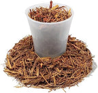 Gardenera Eucalyptus Mulch - Promote Natural Pest Resistance and Plant Vitality - 5 QUARTS - Image 4