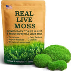 Live Moss – Leucobryum Moss (2 Sheets, Each Approx. 3.5"x7") for Terrariums, Bonsai, Potted Plants & Natural Moss Art – Cushion-Style Texture, Naturally Grown, Reusable, Not Artificial by LUCKYRUNES