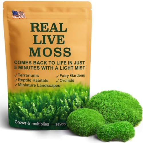Live Moss – Leucobryum Moss (2 Sheets, Each Approx. 3.5"x7") for Terrariums, Bonsai, Potted Plants & Natural Moss Art – Cushion-Style Texture, Naturally Grown, Reusable, Not Artificial by LUCKYRUNES