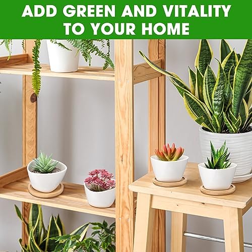 Domensi 24 Pack Small Succulent Pots, Mini Ceramic Succulent Planter, White - Image 6