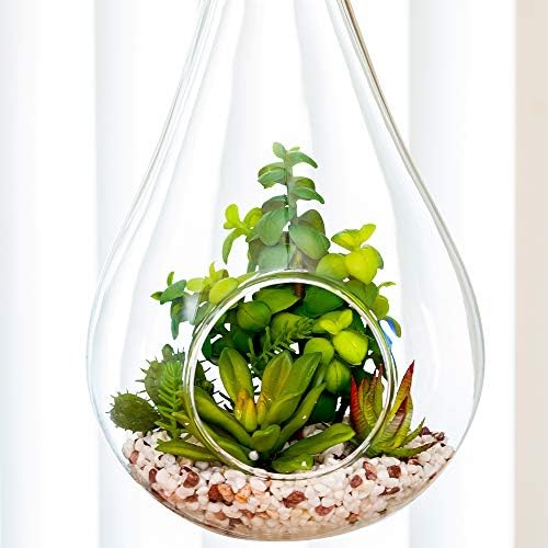 Restaurantware-7.9 x 12.6 Inch Hanging Terrarium With Faux Succulent, 1 Artificial Succulent - In Hanging Glass Terrarium, With Knotted Hemp Rope, Plastic Hanging Succulent, Patio Or Home Decor - Image 3