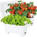 Oliz Self-Watering Rectangle Planter Boxes 8-Pack, 15.7-Inch Window Box Planter with Drainage Holes & Trays, Pots for Vegetables, Herbs, Flowers, Garden Windowsill Balcony (White) by Oliz