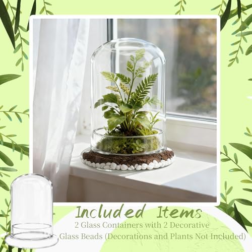 2 Pcs 5.9 x 8.46 Inch Glass Terrarium with Airhole and Base Clear Glass Dome Planter Display Container Plants Not Included for Office Desk, Balcony, Coffee Table - Image 5