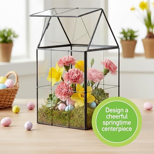 D'Eco Large Glass Plant Terrarium, Centerpiece & Wedding Letterbox Display - Image 2