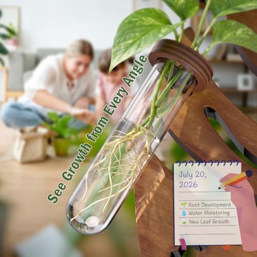Plant Propagation Station, Monstera Hanging Wall Planter with 6 Glass Tubes - Image 6