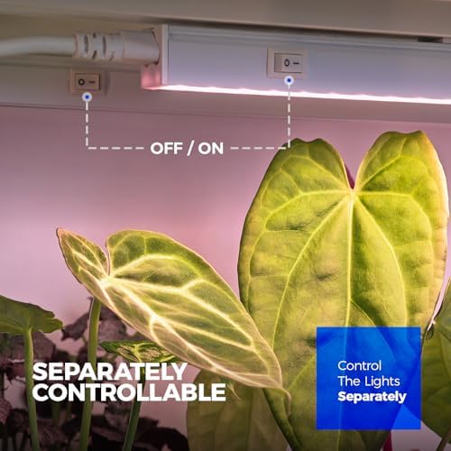 Barrina Grow Light for Indoor Plant, T5 1FT Full Spectrum Sunlight, 4 Packs - Image 4