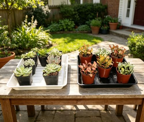 4 Pack 14" Square Plant Saucer No Holes, Sturdy Plastic Water Tray for Indoors Outdoor Garden, White - Image 7