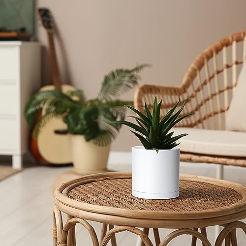 D'vine Dev 6-Pack White Plastic Planters with Saucers, 5 in, 74-Z-G-3 - Image 6