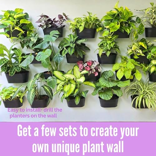 LaLaGreen Modern Wall Planter (9.8 in, 8 Pack) Black Metal Plant Shelf - Image 3