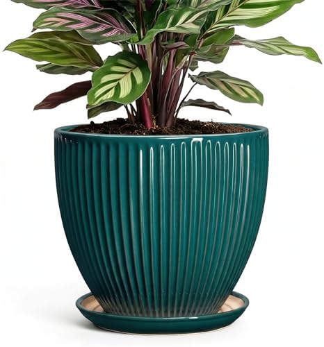Ceramic Flower Pots, 6 Inch Planters with Saucer, Blackish Gree by Wliror