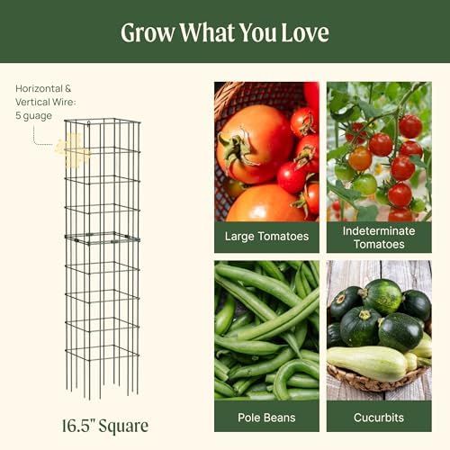 Vego Garden Tomato Cage 16.5" Square Heavy-Duty for Garden & Pots, Rust-Resistant Tomato Stackable Heavy Gauge Plant Cage Trellis Support for Climbing Vegetables Plants - Image 3