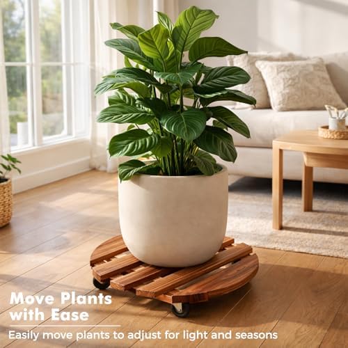 12 Inch Plant Caddy with Wheels, 4 Pack Rolling Plant Stand Rollers with Casters Wooden Plant Dolly with Wheels Heavy Duty Rolling Planter Base for Indoor & Outdoor Plants Natural Wood Flower Stand - Image 4