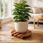 18 Inch Plant Caddy with Wheels, 6 Pack Rolling Plant Stand Rollers with Casters Wooden Plant Dolly with Wheels Heavy Duty Large Rolling Planter Base for Indoor & Outdoor Plants Wood Flower Stand - Image 3