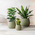 FAB HAB Beryl Handmade Round Metal Planters in Verde/Sage Green – Set of 3 (8", 15", 19”), Indoor/Outdoor, Lightweight with Drainage Holes by FabHabitat