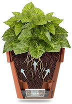 DECOPOTS - Pack of 3 - Self Watering Planter - Height 9.2 inches - Flower Pot with Bottom Watering Level Indicator for All House Plants, Flowers, Herbs (Diameter 9.2", Graphite) - Image 5